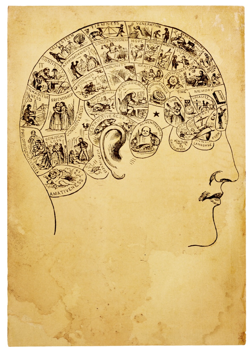 A nineteenth-century phrenology diagram in profile, facing right